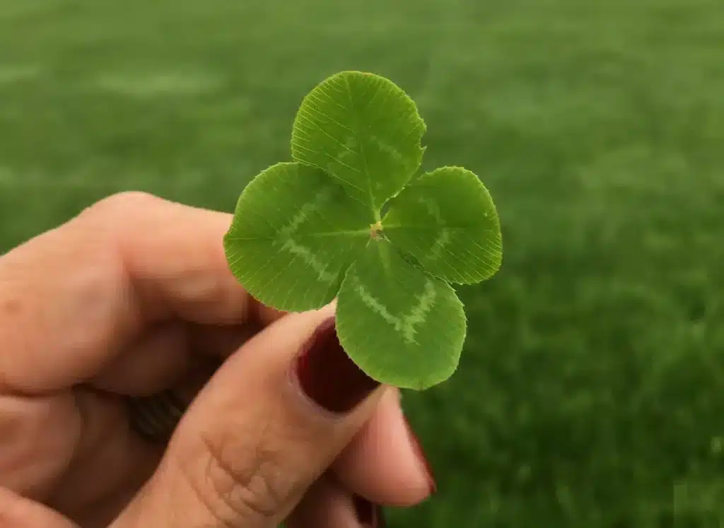 5 csillagjegynek mégérkezik a fullos szerencse! 3 héten belül már érezhető lesz a változás!