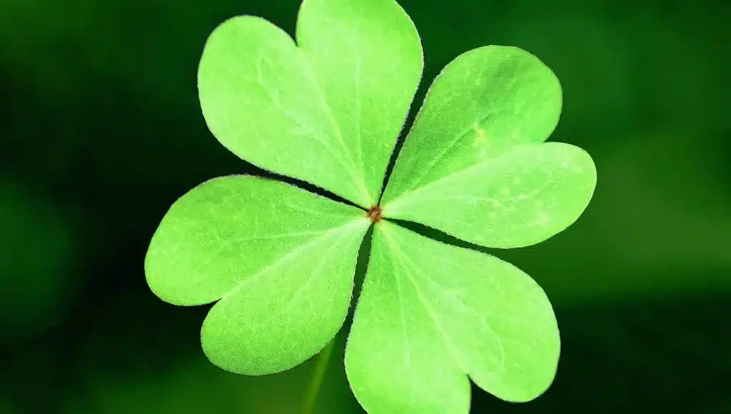 Az ég megáldja egy marék szerencsével ezt az 5 csillagjegyet május elején