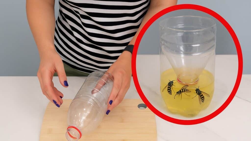 Ez a 8 legjobb védekezési módszer a darazsak ellen, ötödik elképesztően hatékony!