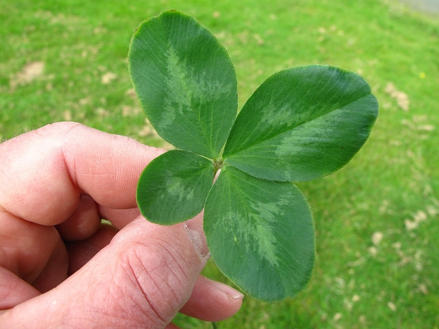 Ez a 7 csillagjegy EXTRA mázlista lesz a holnapi naptól