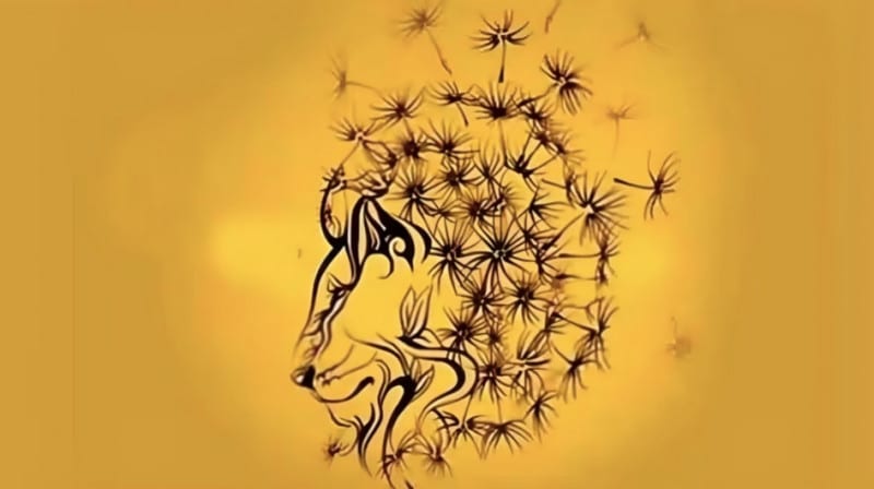 Mit pillantasz meg először? Ez a teszt leleplezi a benned rejlő különleges képességet!